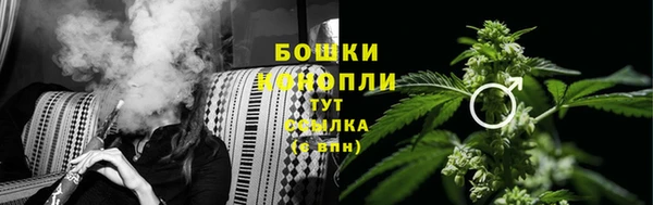 сатива Заволжье