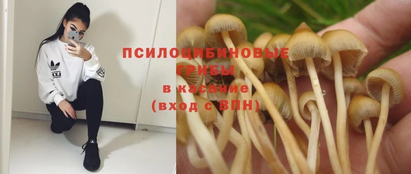 сатива Заволжье