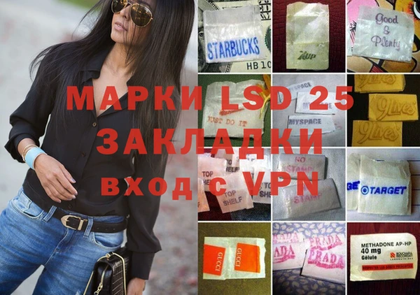 сатива Заволжье