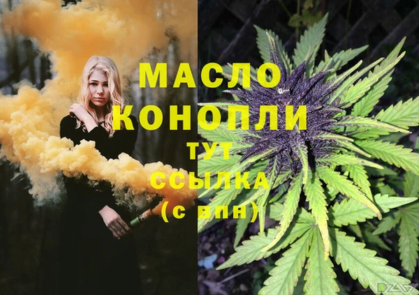сатива Заволжье