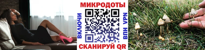 Купить где  Губаха  Галлюциногенные грибы Magic Shrooms 